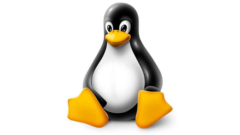 How do I change my file permissions in Linux? - Admin Settings