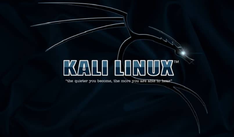 How to know which version of Kali Linux I have installed - The Complete Guide