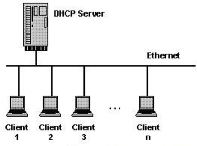 configure dhcp