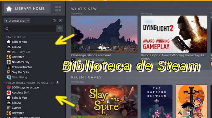 Steam Game Library