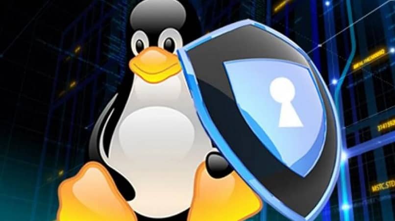 Linux provides kali a security software