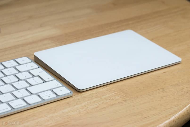 Apple Magic Trackpad