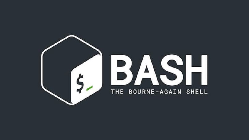 The interface between the bash program and the kernel