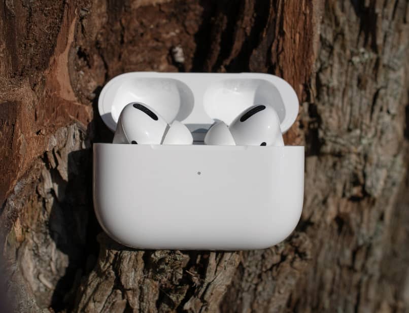 airpods in their case