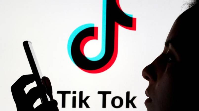 How to create a TikTok with "distorted sound" for cats? - Original voice effects