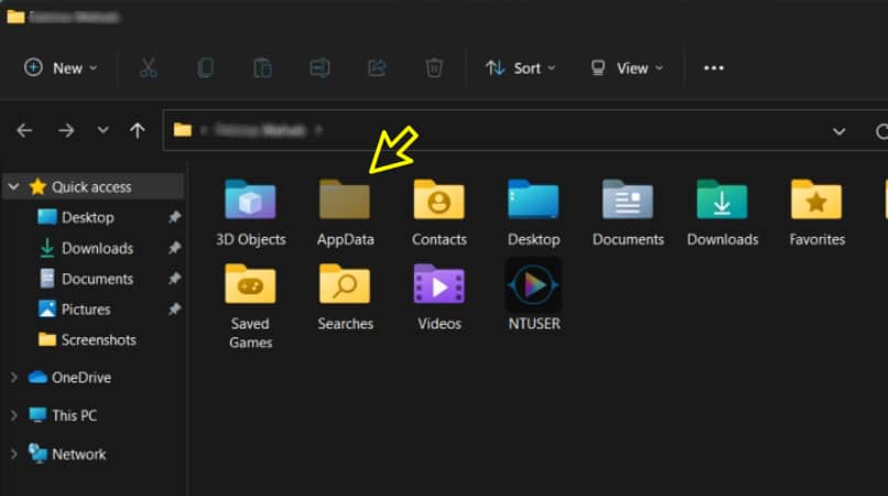 appdata folder in Windows