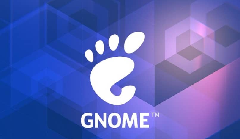 A good choice for versatile gnome