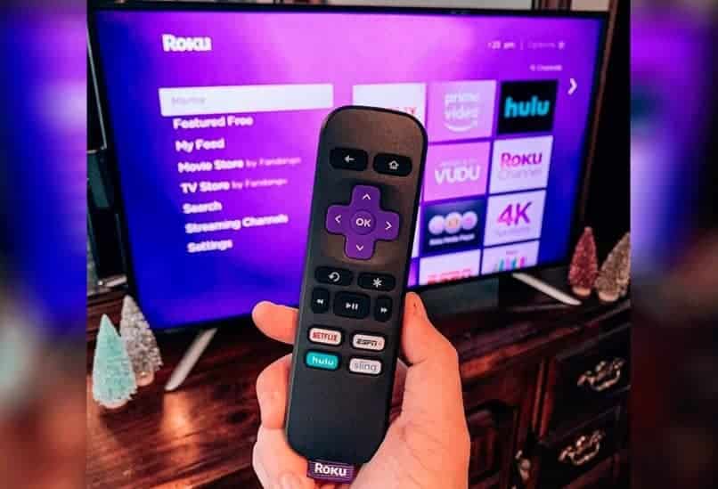 roku tv control